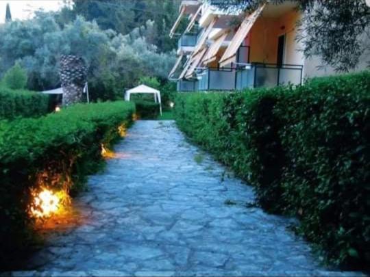Guesthouse Emi Lygia  Esterno foto